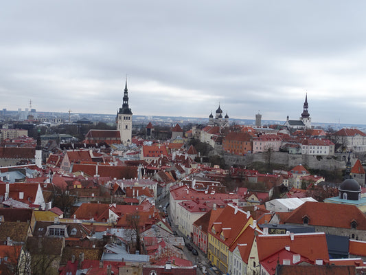 Grandioser Blick auf Tallinn